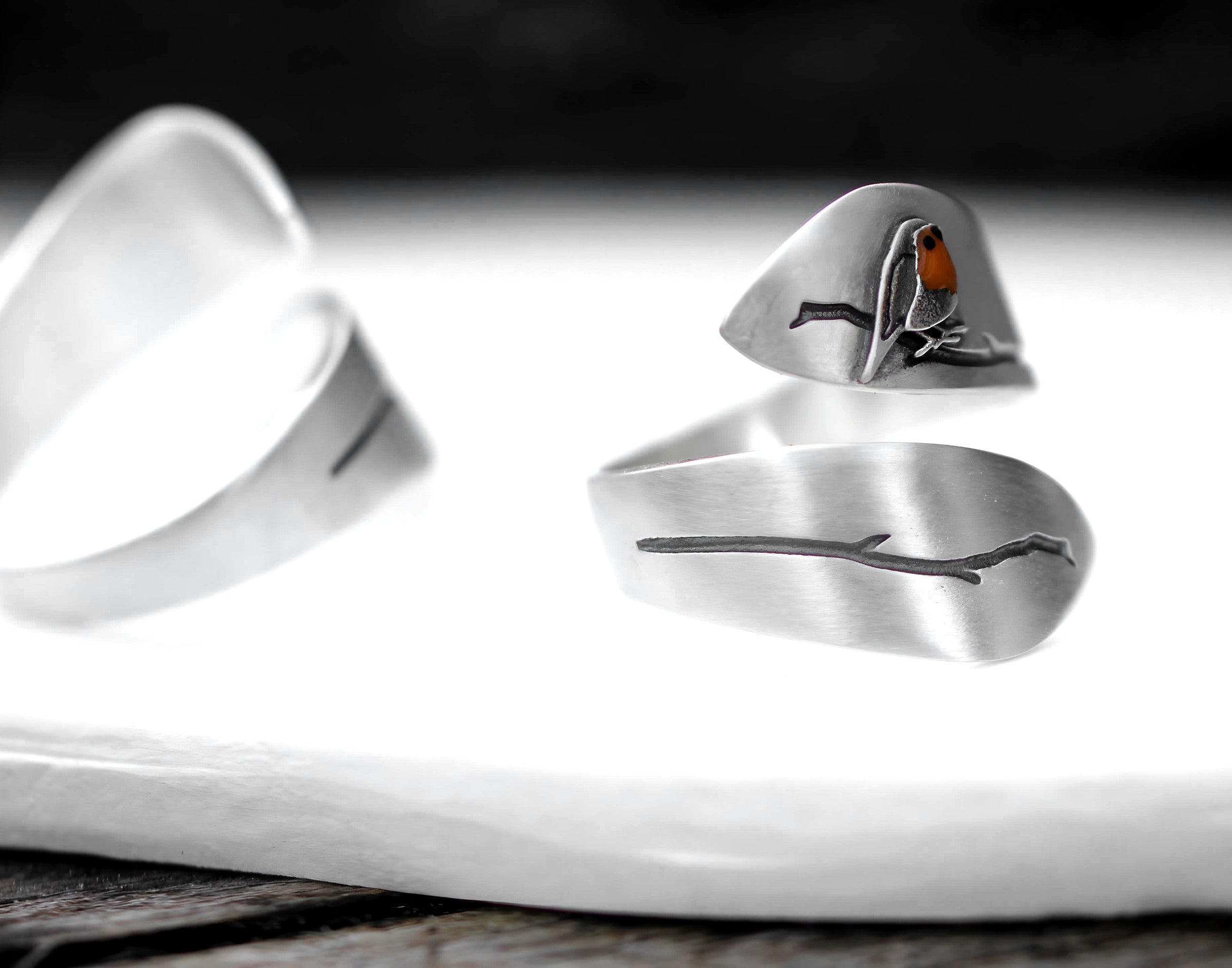 Robin Spiral Ring
